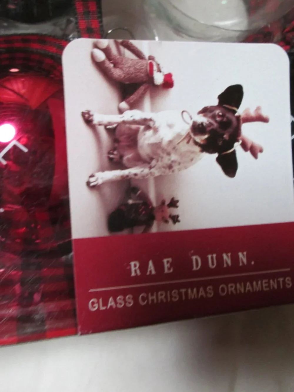 Rae Dunn stenicl glass